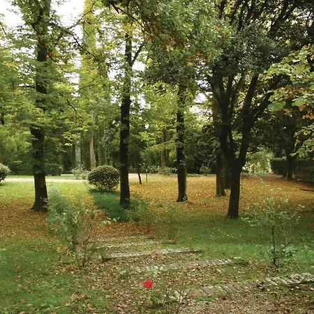 Il Carpino Pilonico Materno